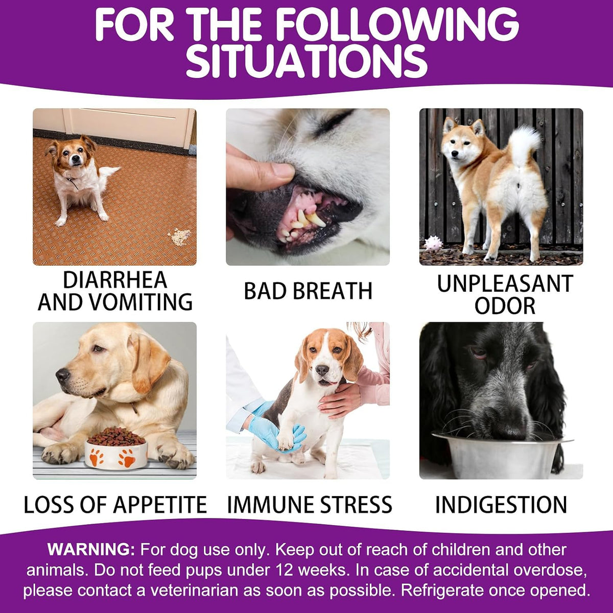 Probiotics for Dogs – Digestive & Coat Health – 120 Soft Chews - görsel 8