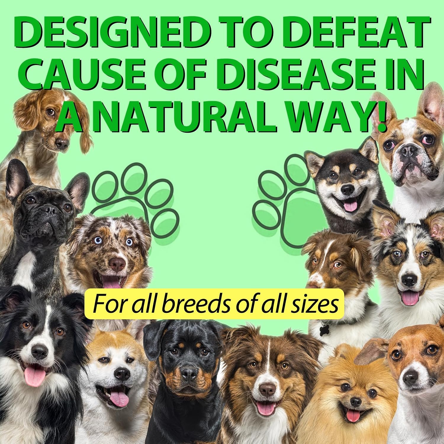 Dog Antibiotics - Natural Antibiotics for Dogs - Dog Multivitamin Herbal Supplements (60ml) - görsel 5