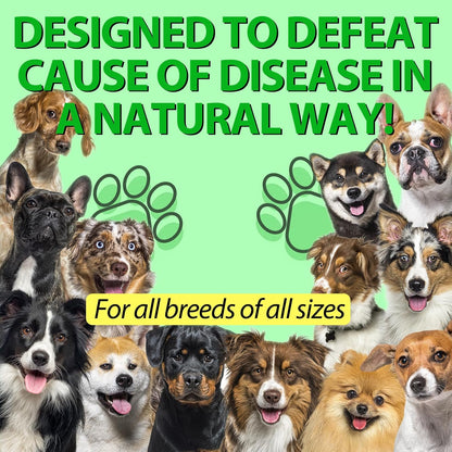 Dog Antibiotics - Natural Antibiotics for Dogs - Dog Multivitamin Herbal Supplements (60ml)