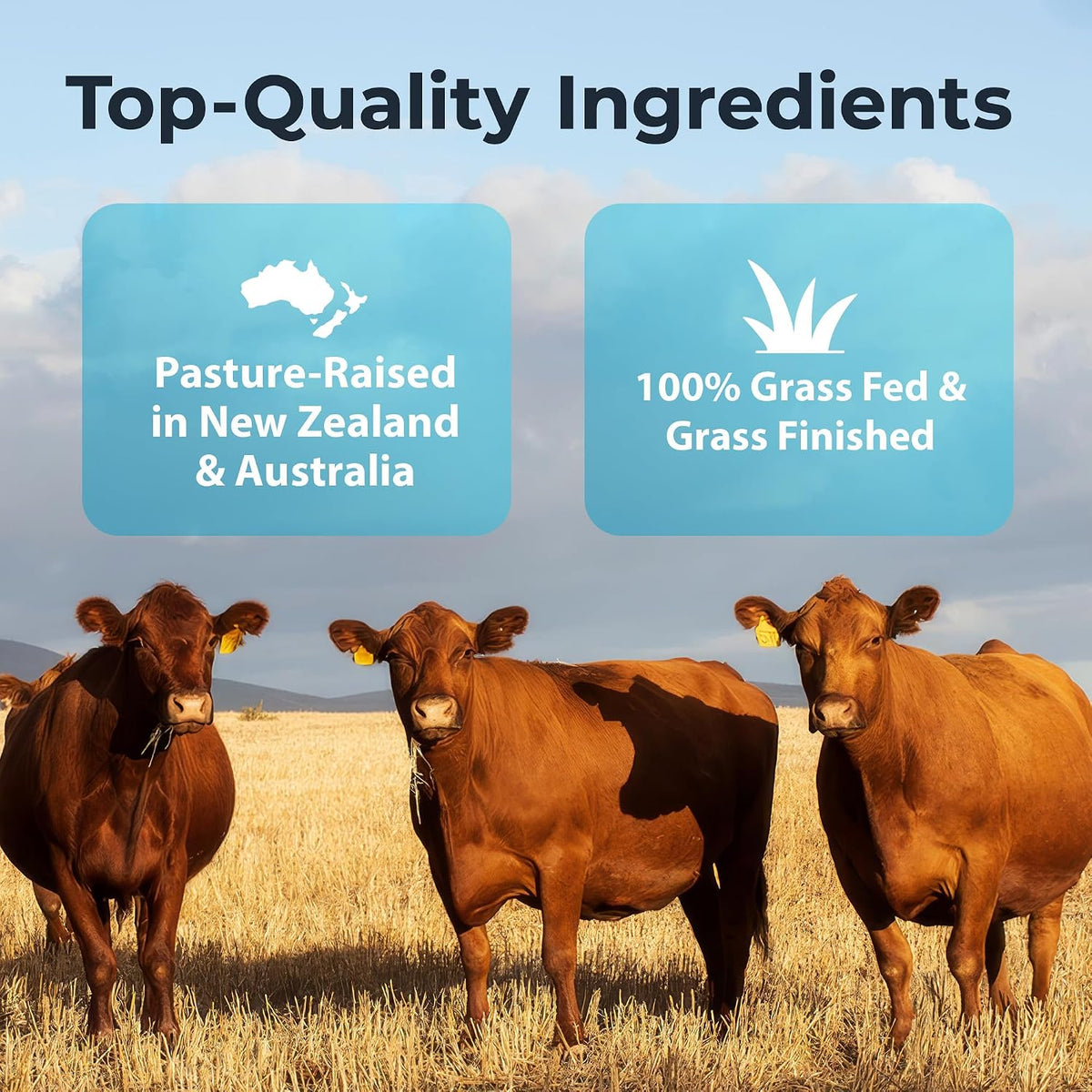 Ultimate Male Optimisation - 100% Grass Fed Beef Organ Supplement, 180 Capsules - görsel 4