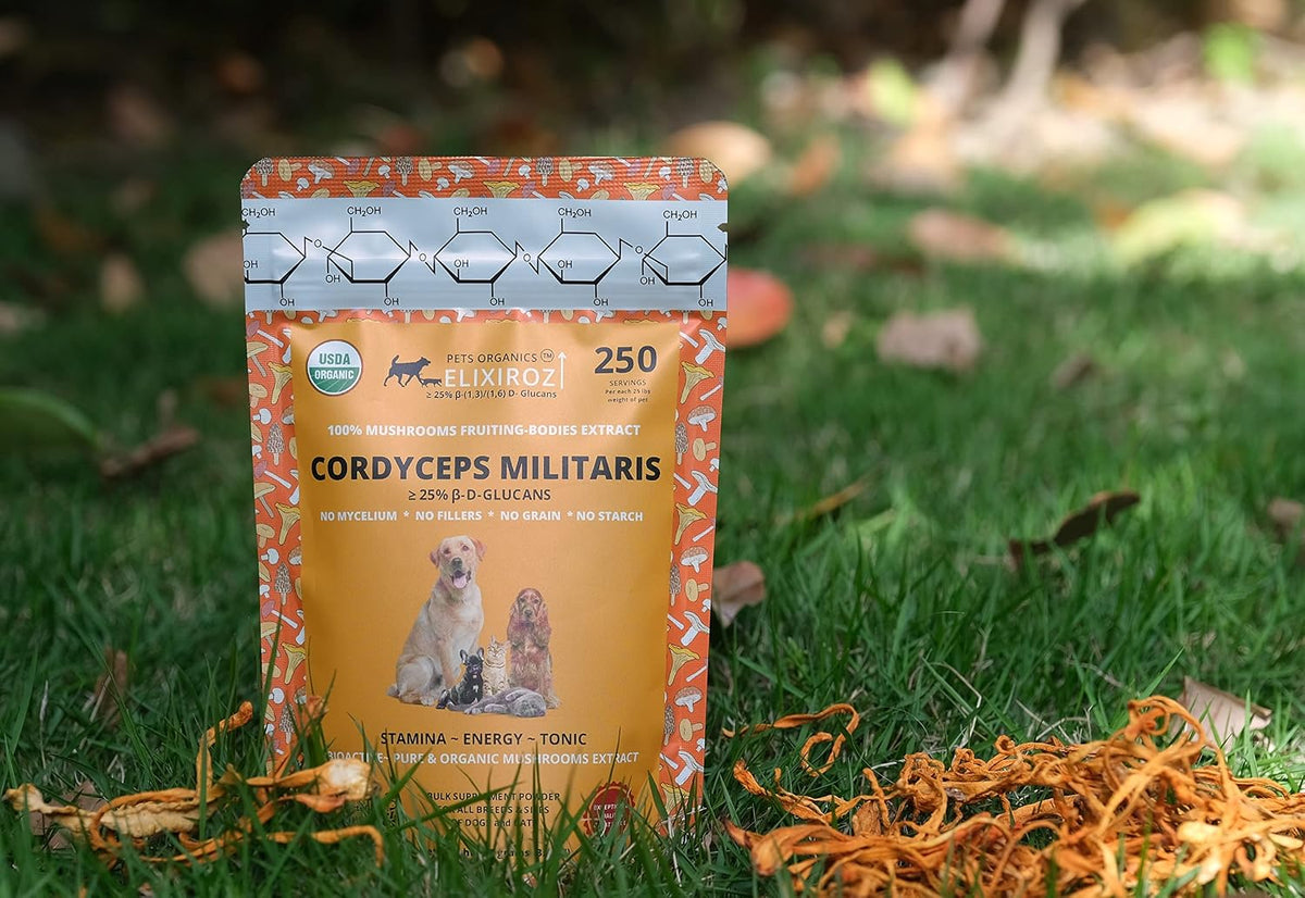 Cordyceps Mushroom Extract for Dogs & Cats – 25%+ Beta Glucans – Fruiting Body (8:1–12:1 Concentrated) – Energy, Stamina & Vitality Support – No Fillers – 250 Servings - görsel 3