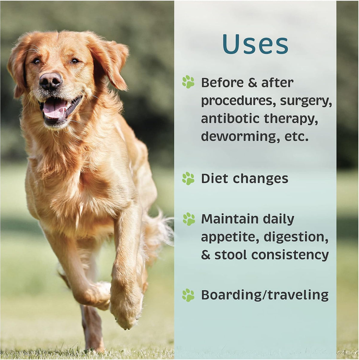VetOne Advita Probiotic Nutritional Supplement for Dogs, 30 Sachets - görsel 5