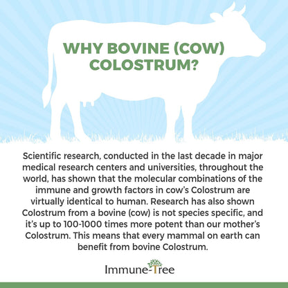 Immune-Tree 100% Bovine Colostrum Powder, 120 Servings, 6.5oz