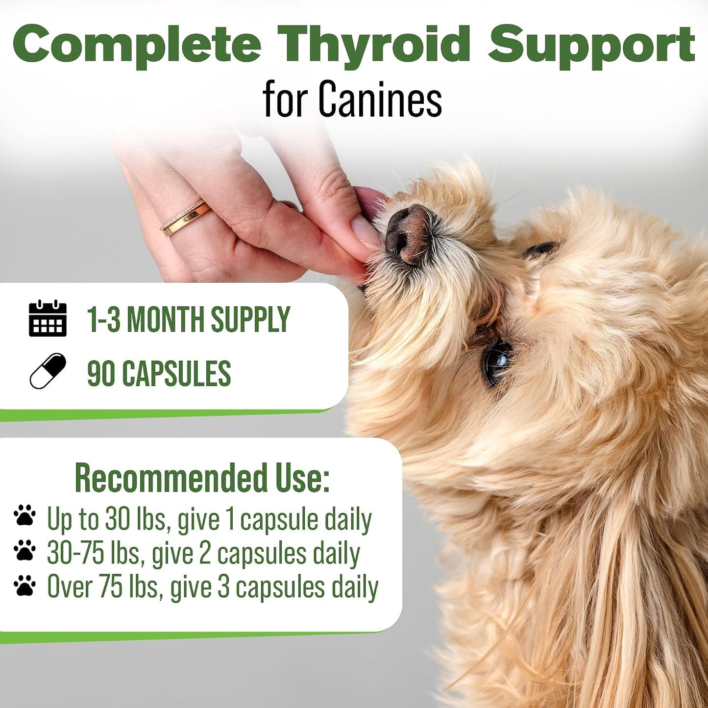 Silver Lining Herbs Thyroid Support for Dogs - 90 Capsules - görsel 5