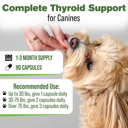 Silver Lining Herbs Thyroid Support for Dogs - 90 Capsules