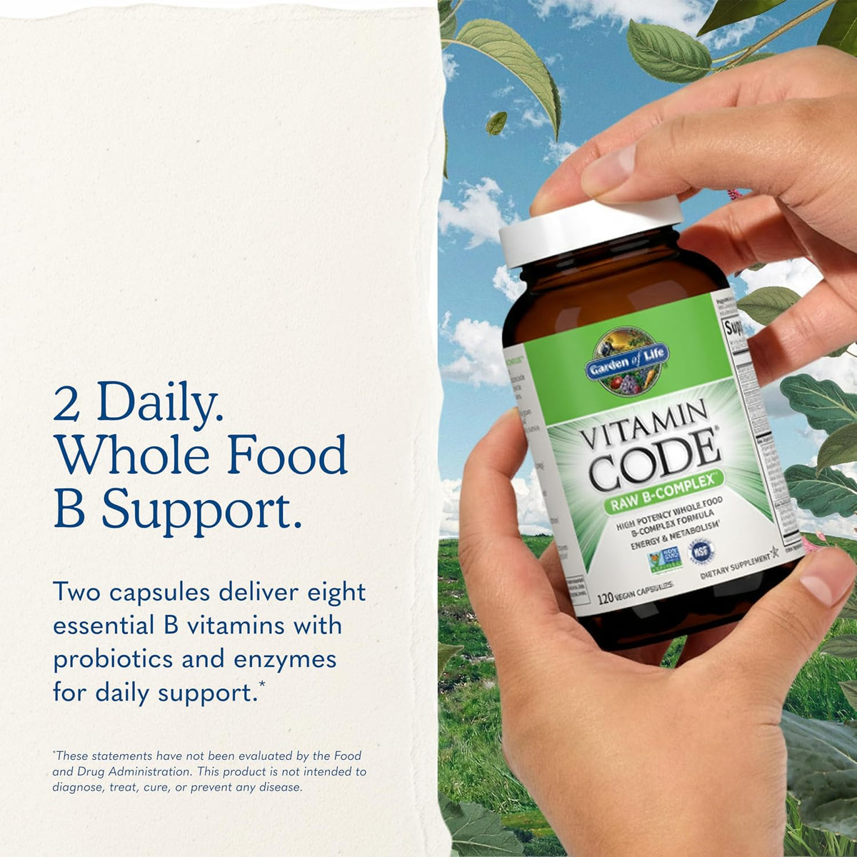 Garden of Life Vitamin B Complex - High Potency Raw B Vitamins for Energy & Metabolism with Probiotics, 120 Vegan Capsules - görsel 7