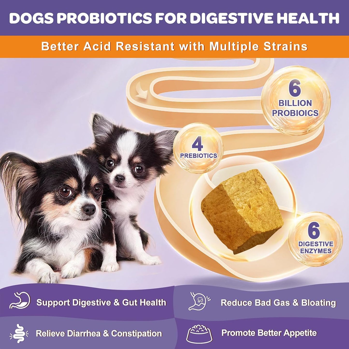 NATURE TARGET Probiotics for Dogs, 6 Billion CFUs, Freeze-Dried Dog Probiotics with Prebiotics & Enzymes for Digestive Health, Omega 3 for Skin & Immune Support, 180 Chews - görsel 2