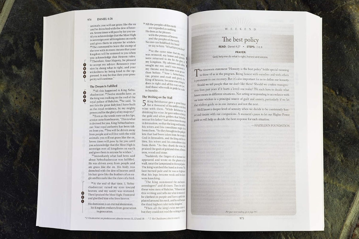 NIV, Recovery Devotional Bible, Paperback - görsel 7