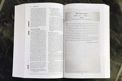 NIV, Recovery Devotional Bible, Paperback