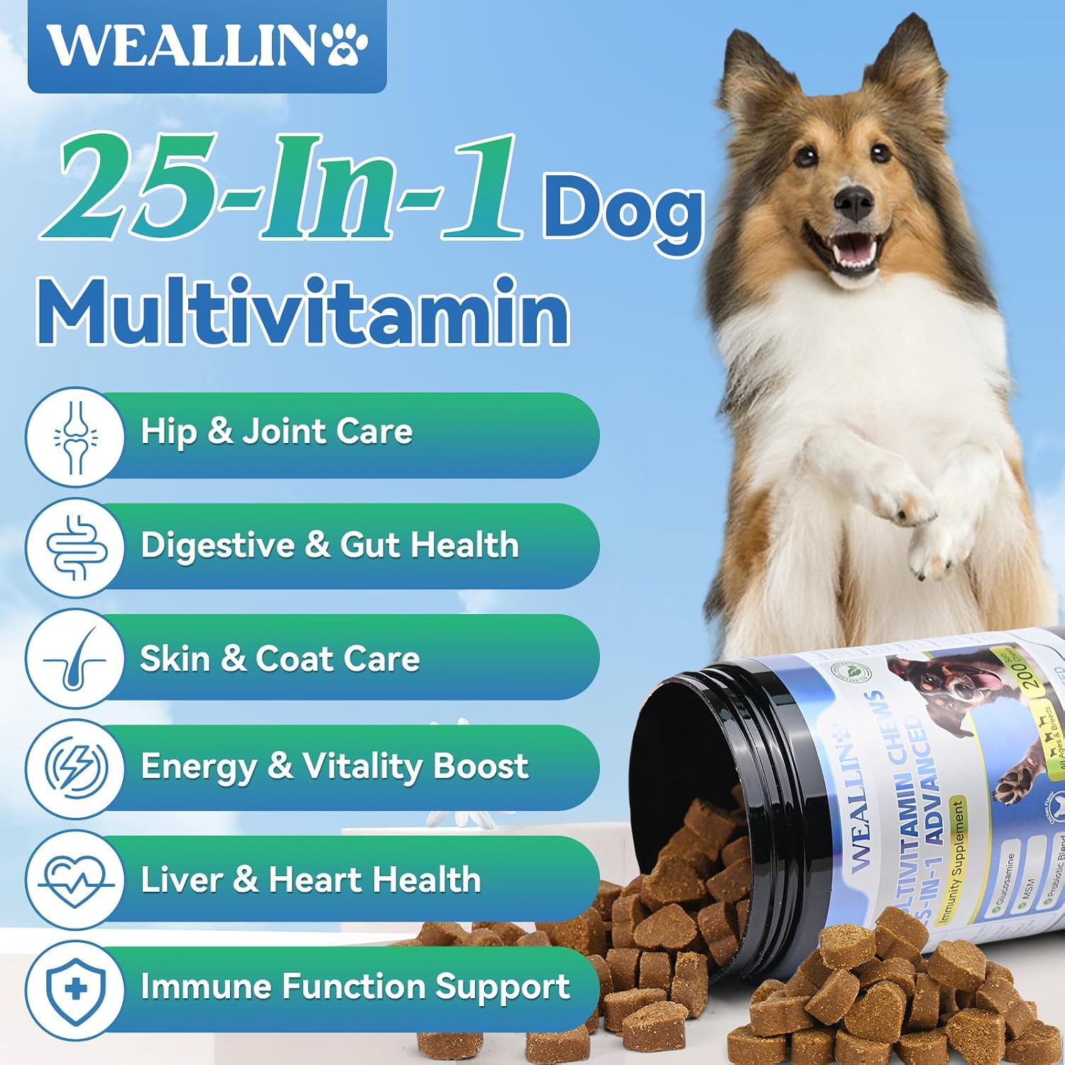 WEALLIN 25-in-1 Dog Multivitamin Chewable - Glucosamine, Probiotics, Omega-3 for Coat, Joints, Digestion and Immunity (200 Chews) - görsel 2