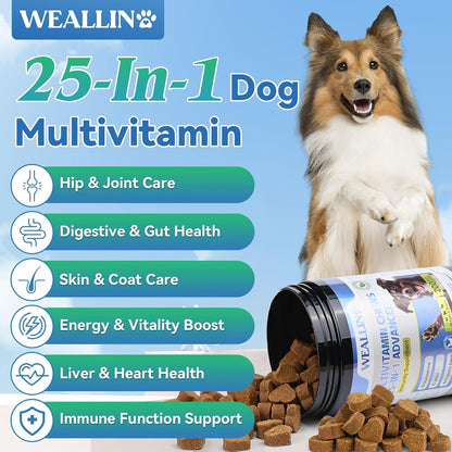 WEALLIN 25-in-1 Dog Multivitamin Chewable - Glucosamine, Probiotics, Omega-3 for Coat, Joints, Digestion and Immunity (200 Chews)
