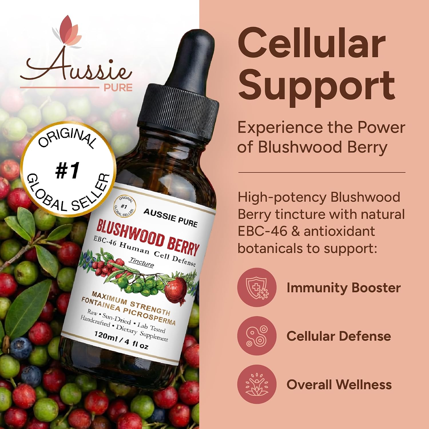 Aussie Pure Blushwood Berry EBC-46 Tincture – Immune & Cell Defence Supplement – 120ml - görsel 2