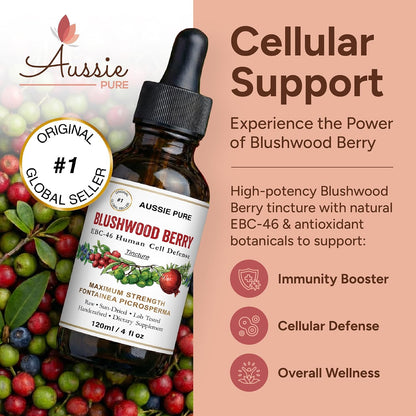 Aussie Pure Blushwood Berry EBC-46 Tincture – Immune & Cell Defence Supplement – 120ml