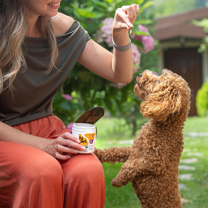 Hi Pet Multivitamin Bites for Dogs - Soft Chews