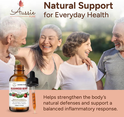 Blushwood Berry EBC-46 Maximum Strength Immune and Cell Support Tincture – Three 120ml Bottles