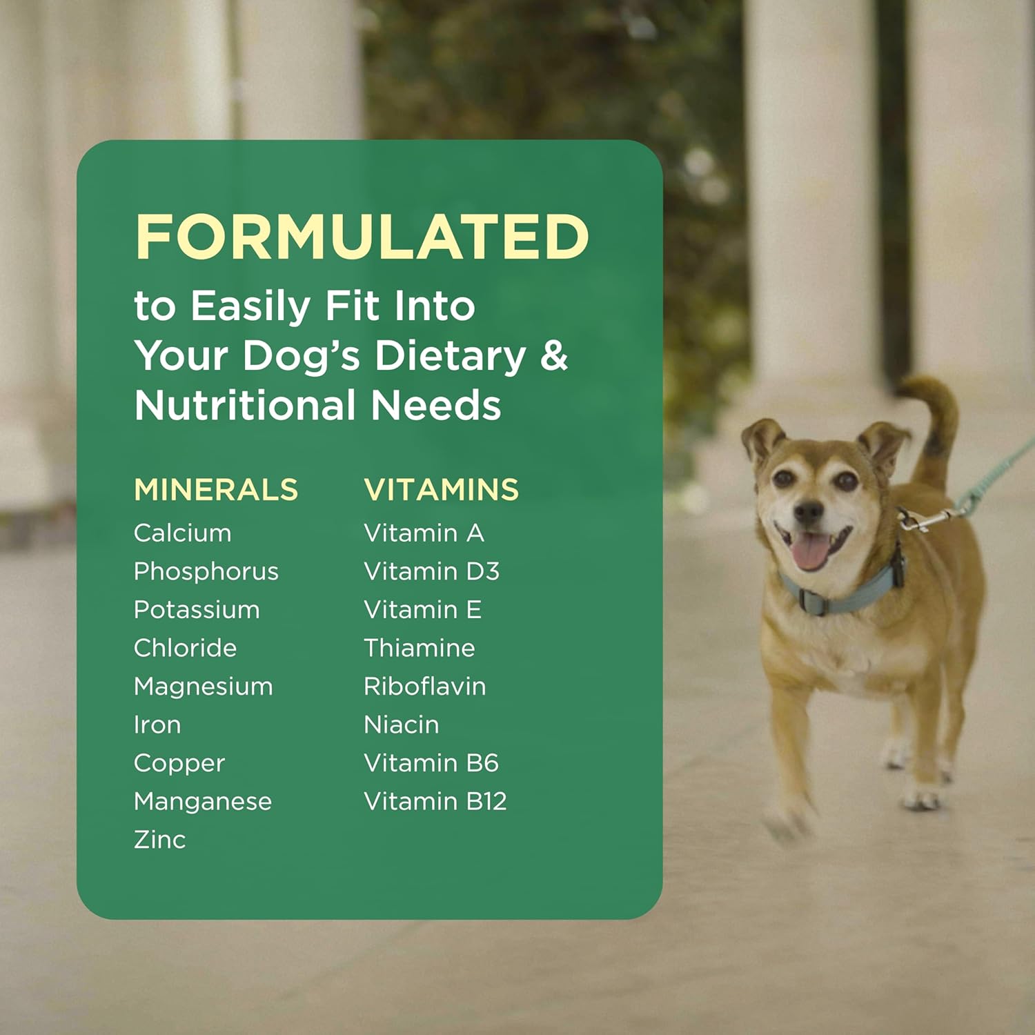 Pet-Tabs Multivitamin and Mineral Supplement for Dogs, Chewable Tablets, 60 Count - görsel 5