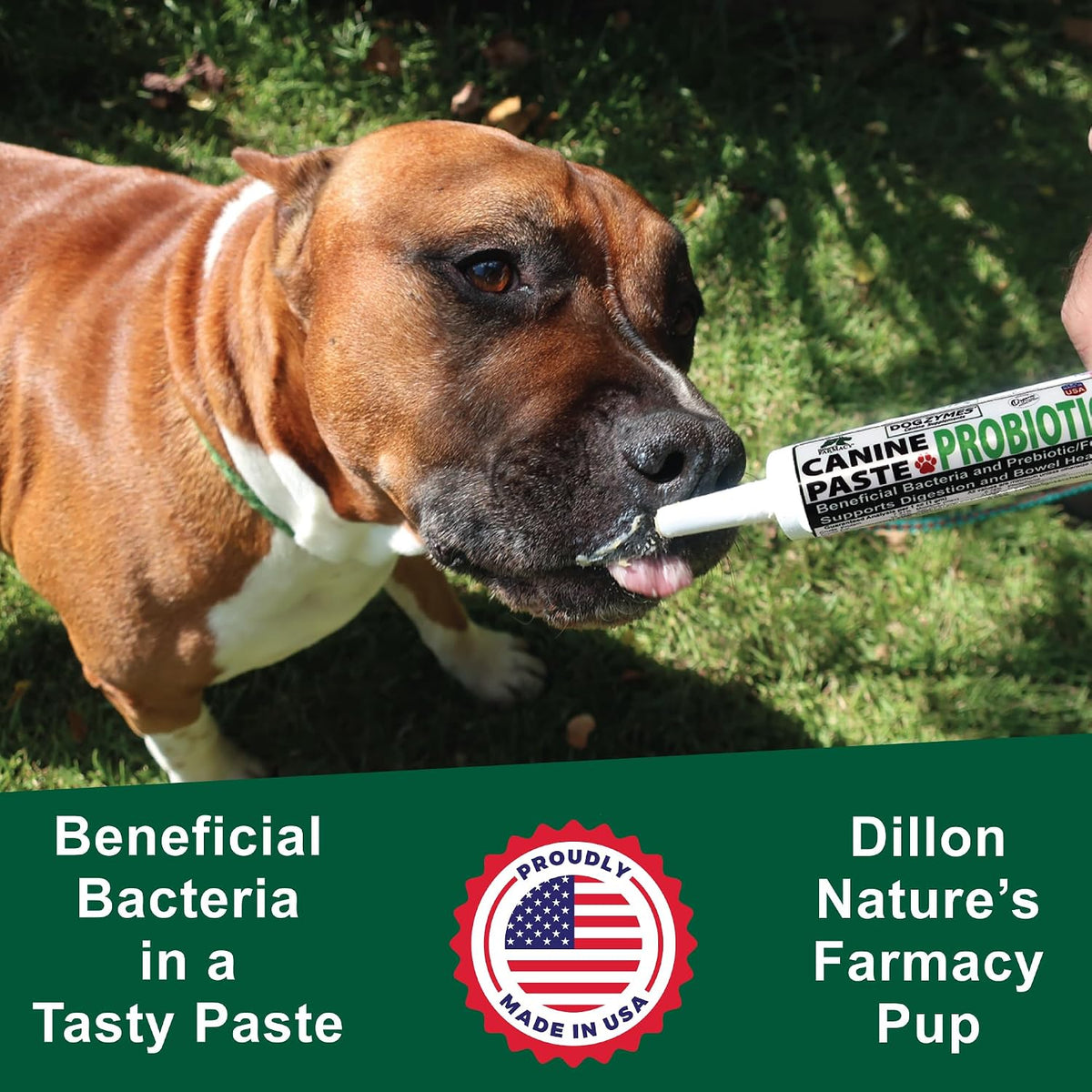 Dogzymes Canine Probiotic Paste with Saccharomyces boulardii – 15g (2.3 Billion CFU/g) - görsel 3