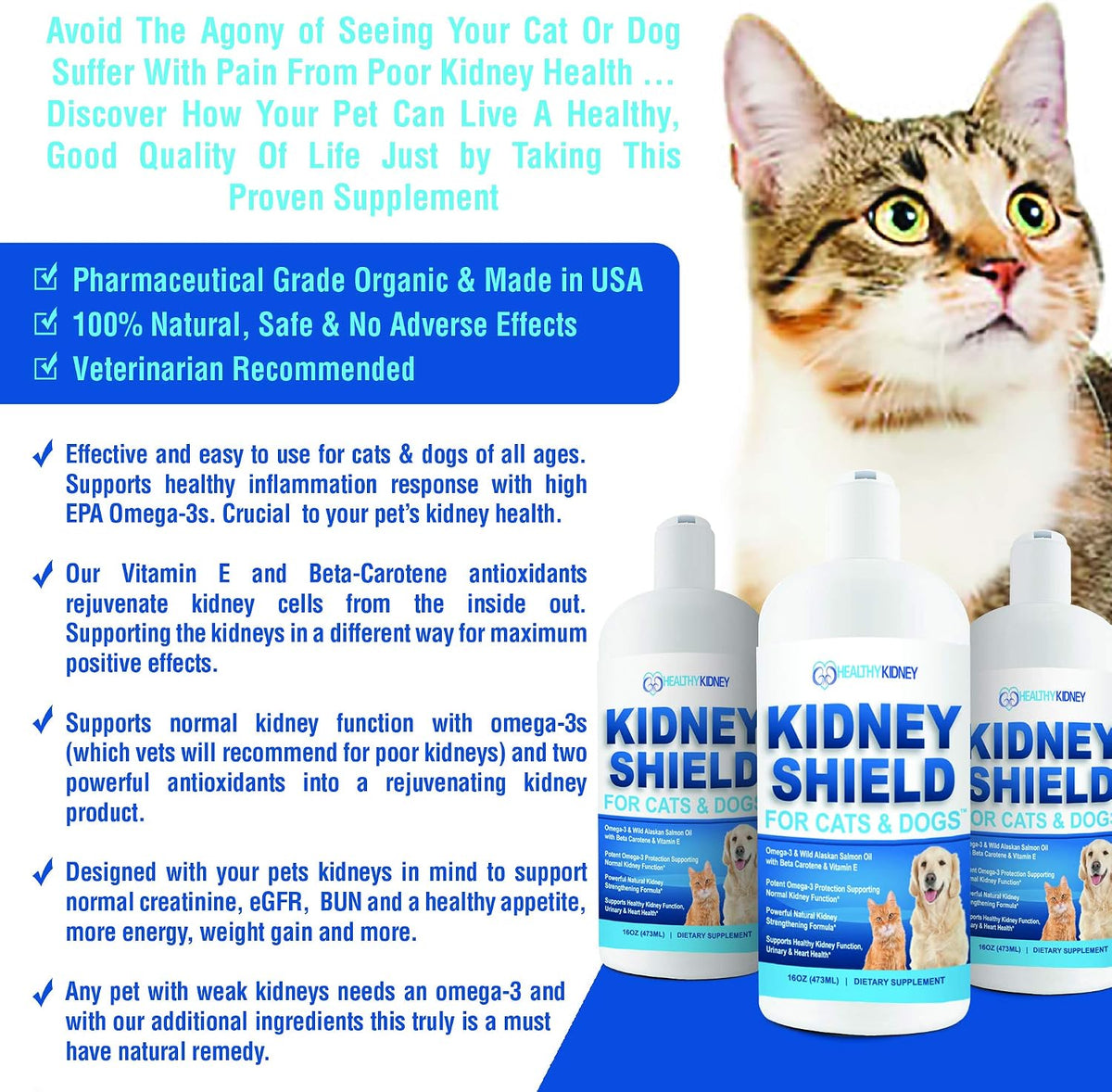 Kidney Shield for Dogs and Cats - Renal Health Supplement - görsel 2