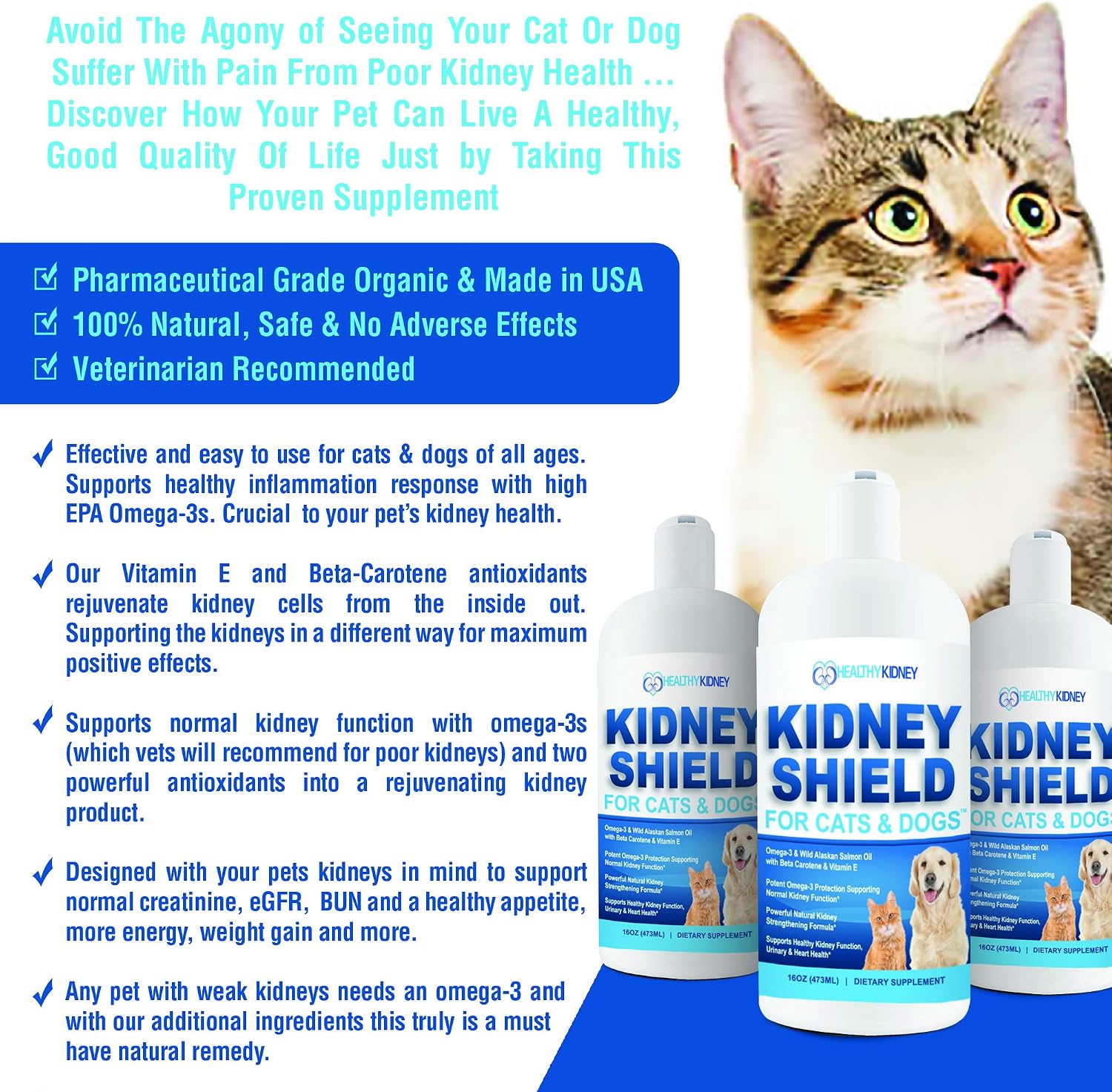 Kidney Shield for Dogs and Cats - Renal Health Supplement - görsel 2