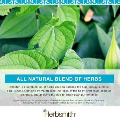Herbsmith Athlete – Canine Endurance Supplement for Working and Agility Dogs (75g Powder)