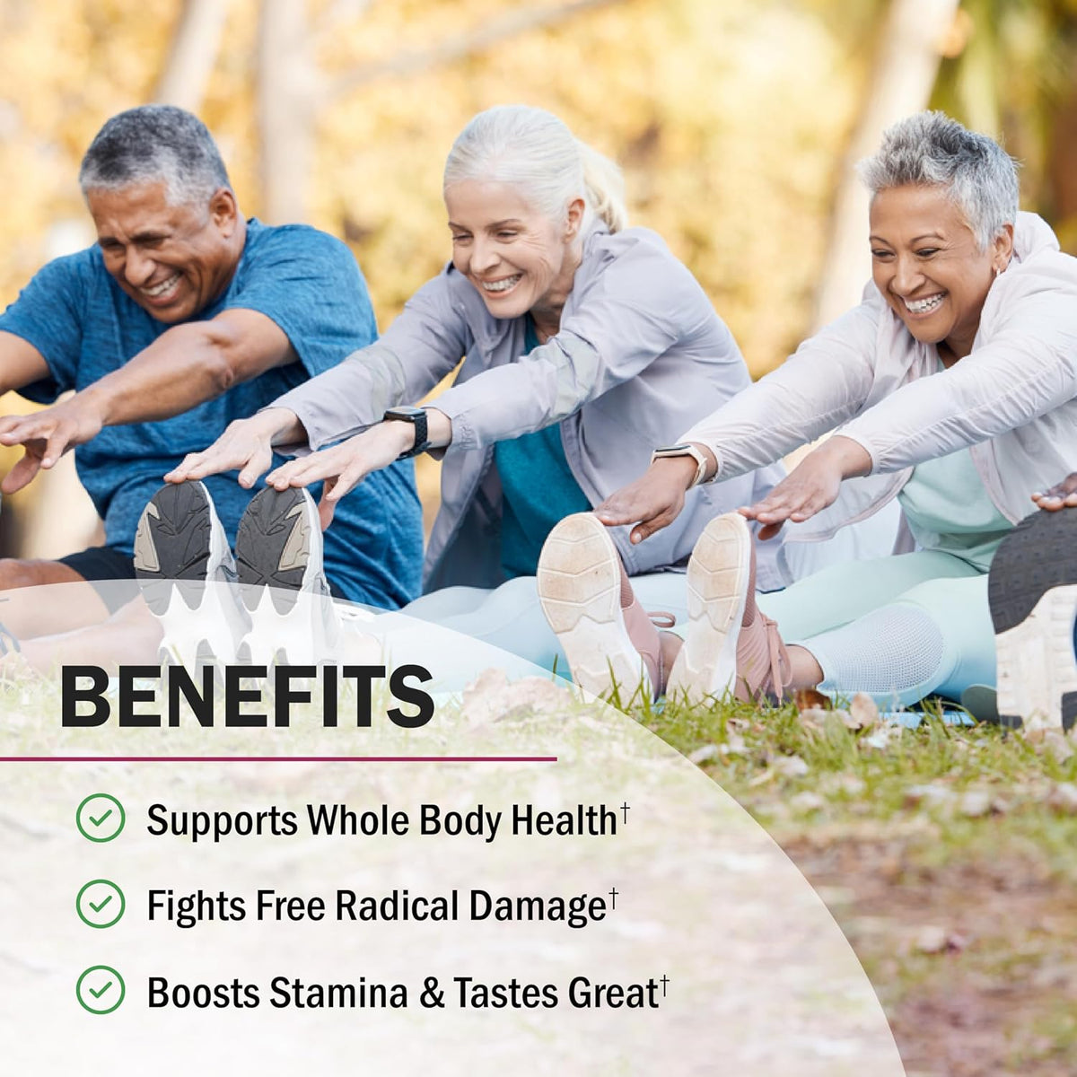 BioSchwartz Beetroot Powder – Superfood Supplement with Vitamin C and Organic Antioxidant-Rich Fruits and Vegetables - görsel 2