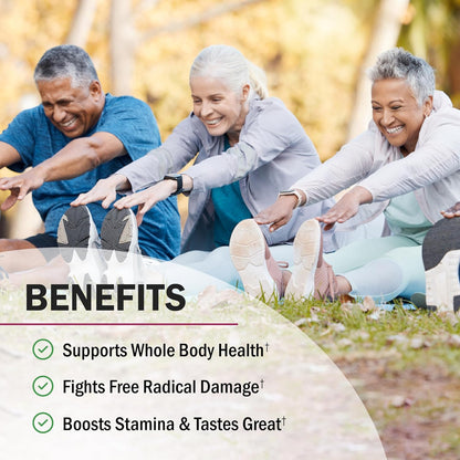 BioSchwartz Beetroot Powder – Superfood Supplement with Vitamin C and Organic Antioxidant-Rich Fruits and Vegetables