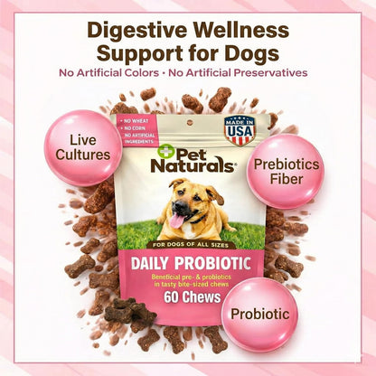 Pet Naturals Daily Probiotic Soft Chews for Dogs, Digestive and Immune Support Supplement, 1 Billion CFU per Chew, Duck Flavour, 60 Count