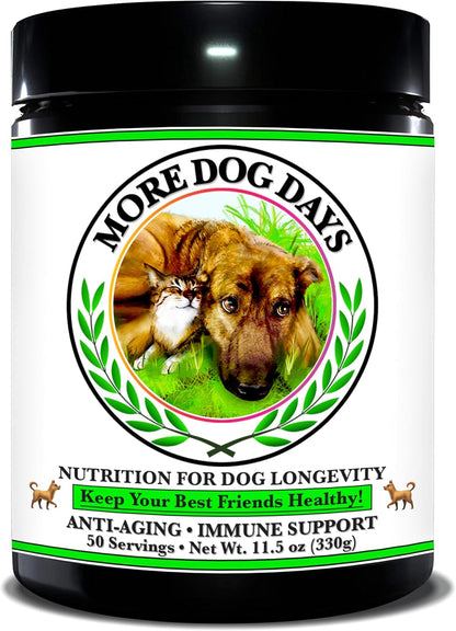 More Dog Days Anti-Ageing & Immune Support | Organic, Human-Grade Ingredients | Medicinal Plants & Mushroom Extracts | Omega 3s, Antioxidants, Probiotics, Vitamins & Minerals | Plant-Based & Vegan