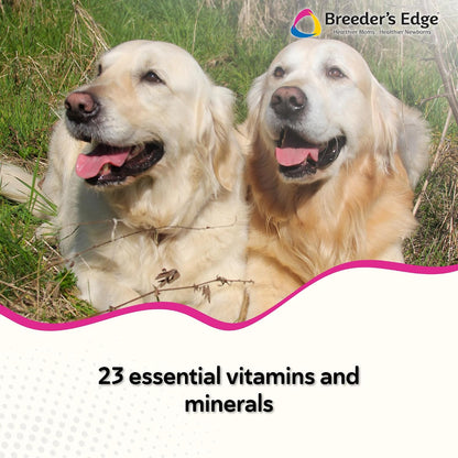 Breeder's Edge In Between for Her, Daily Multivitamin Supplement for Breeding Dogs and Cats, Fills Nutritional Gaps, and Supports Moms in Between Breeding, 90 Tablets Medium & Large Dog