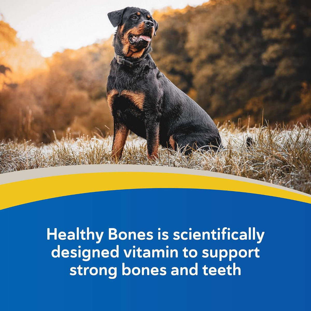 Doc Roy's Healthy Bones Calcium Phosphorus Supplement - Roast Beef & Liver Flavoured, 100 Chewable Tablets - görsel 2