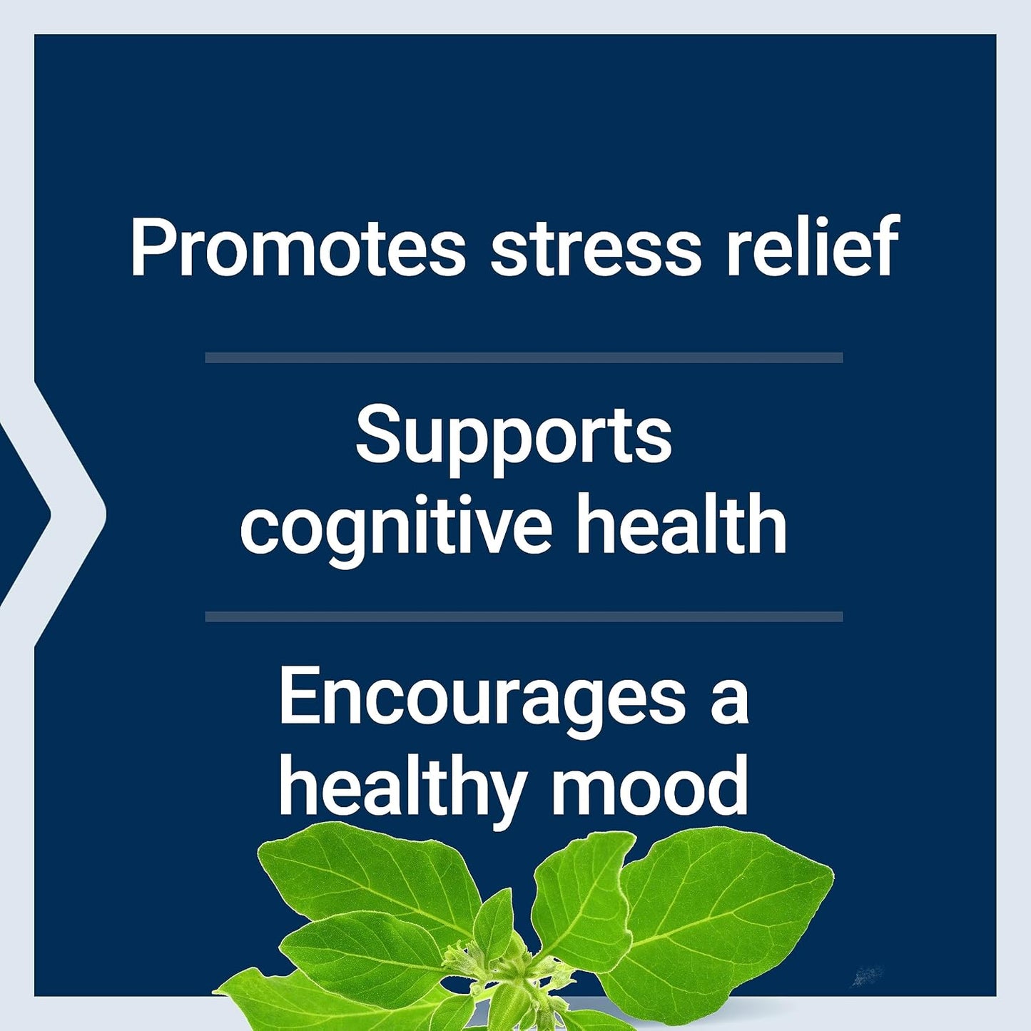 Life Extension Optimised Ashwagandha - Stress Management Supplement - görsel 4