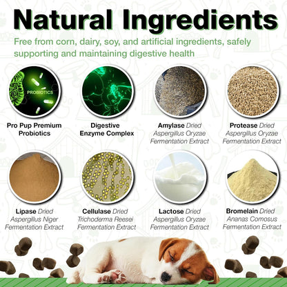 Pawlife Probiotics for Dogs - Pumpkin Flavour Soft Chews (240 Count)