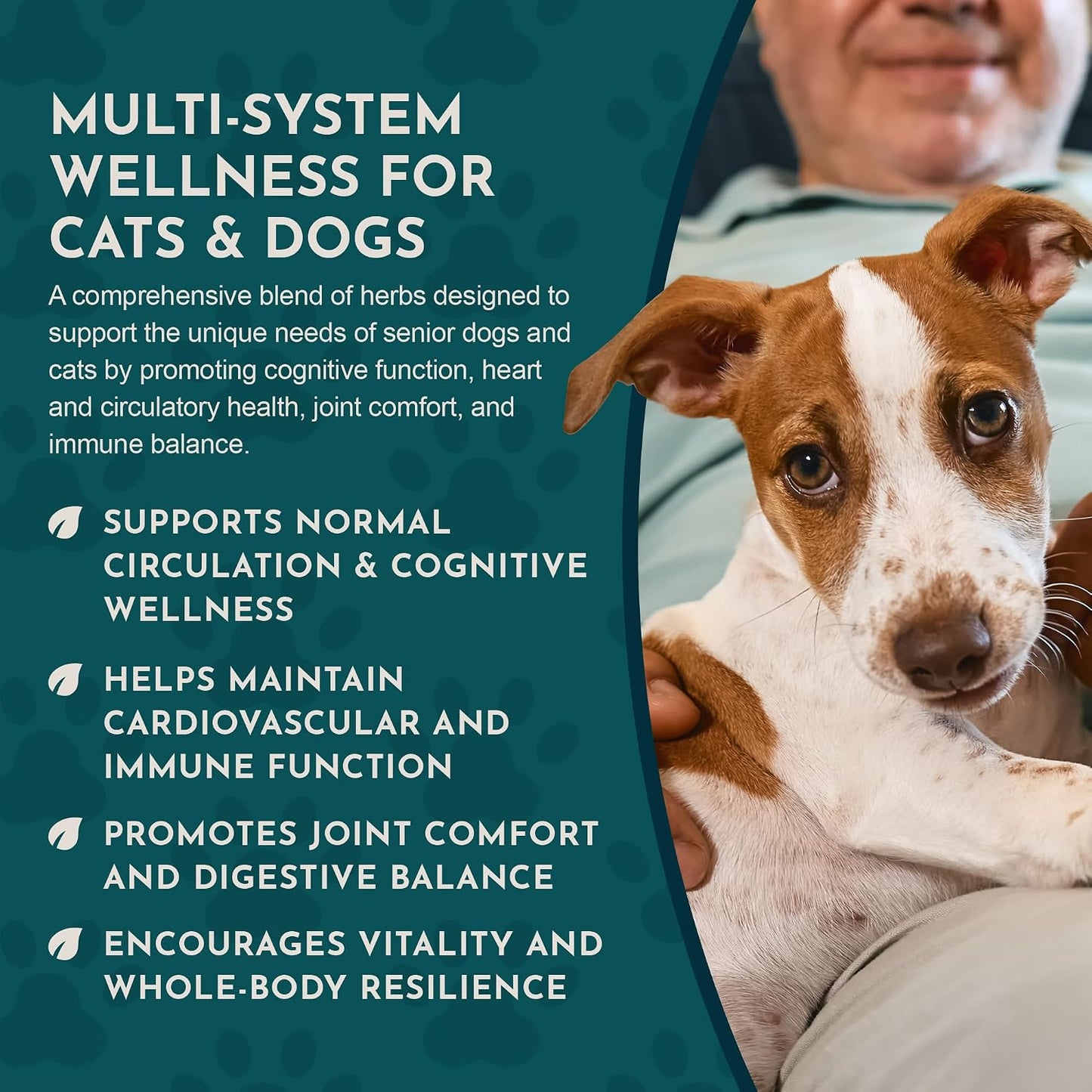 Animal Essentials Senior Support for Dogs & Cats Supplement - Milk Thistle & Herbal Blend, 30 ml - görsel 6