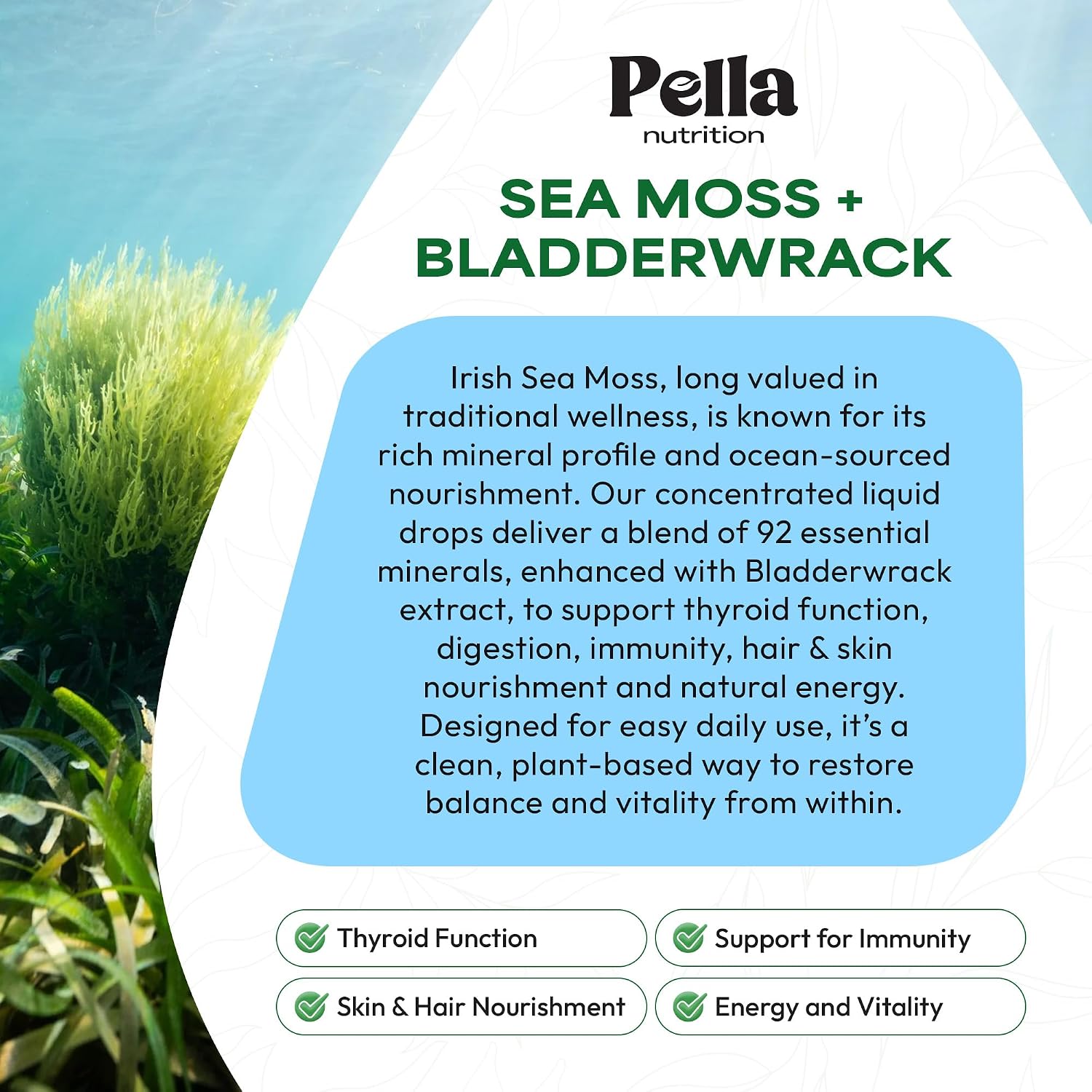 Pella Nutrition Sea Moss Drops with Bladderwrack – Liquid Supplement for Immune & Digestive Support (Strawberry Lime, 60ml) - görsel 5
