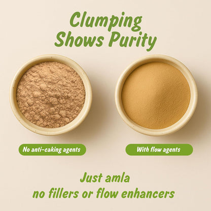 Spice Profile Organic Amla Powder | 113 g | Lab Tested