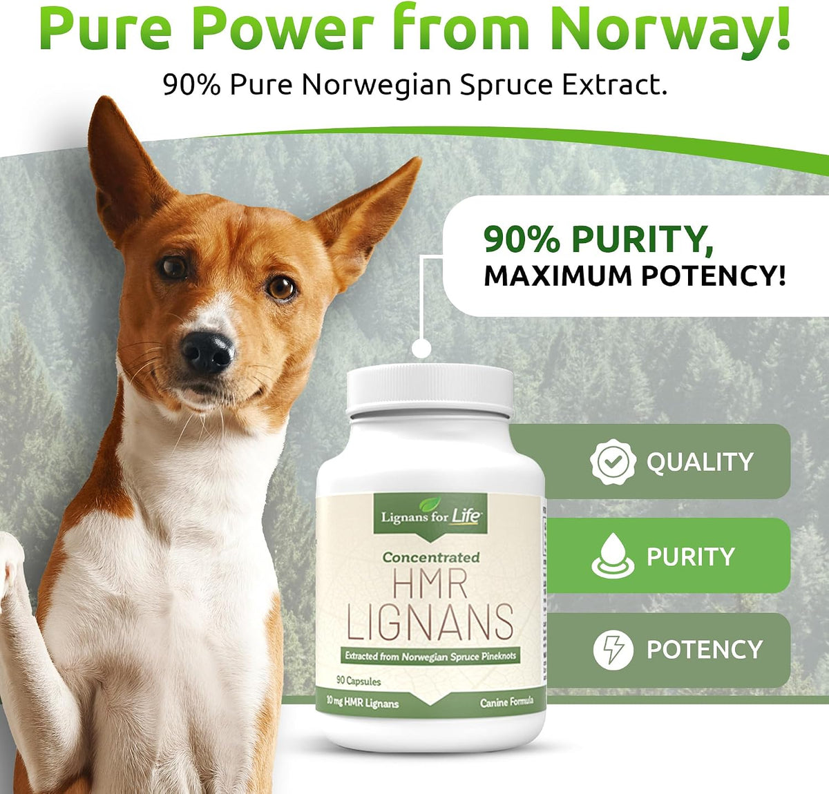 HMR Lignans 10mg Capsules for Dogs – Adrenal Support & Wellness Supplement - görsel 2