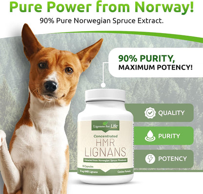 HMR Lignans 10mg Capsules for Dogs – Adrenal Support & Wellness Supplement