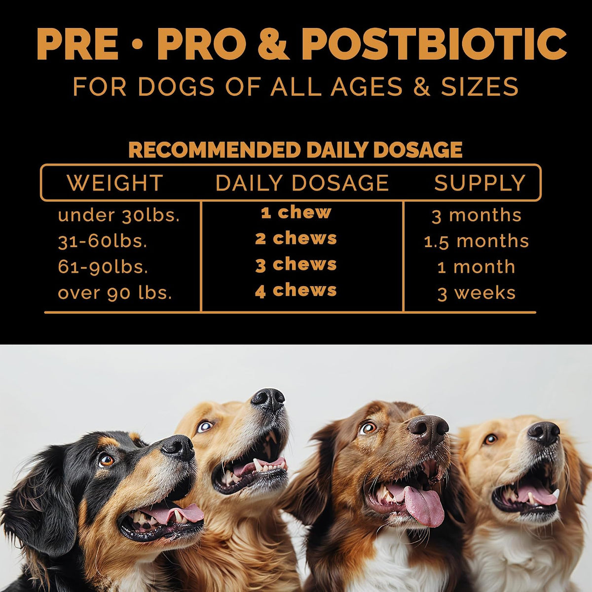 Pet Theory Probiotics for Dogs – Pre, Pro & Postbiotic Soft Chews for Digestive Health and General Wellbeing (100 Chews) - görsel 3