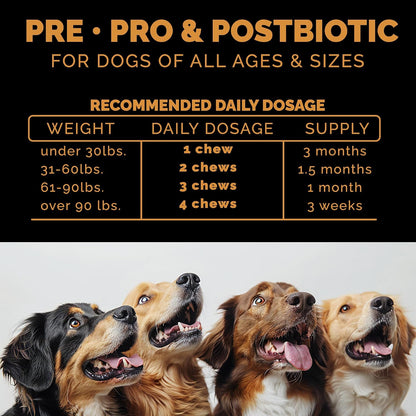 Pet Theory Probiotics for Dogs – Pre, Pro & Postbiotic Soft Chews for Digestive Health and General Wellbeing (100 Chews)