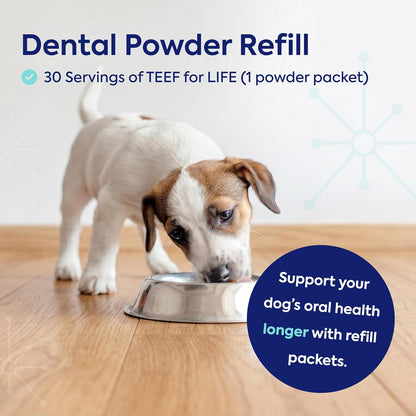 Protektin42 Prebiotic Dog Dental Powder Refill – 30 Servings