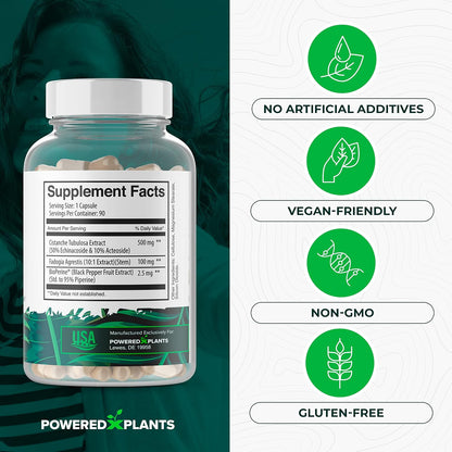 Cistanche Tubulosa with Fadogia Agrestis - Herbal Supplement for Vitality - 90 Capsules