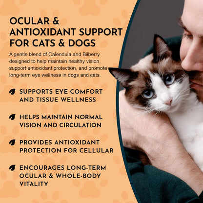 Animal Essentials Eye Defence Support for Dogs & Cats - Organic Bilberry Calendula Herbal Blend, Alcohol Free - 30 ml