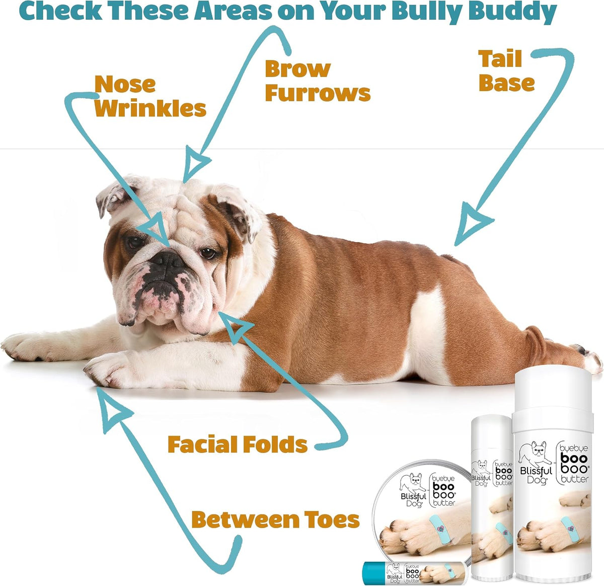 The Blissful Dog 4 oz Tin Bulldog Booboo Butter - görsel 6