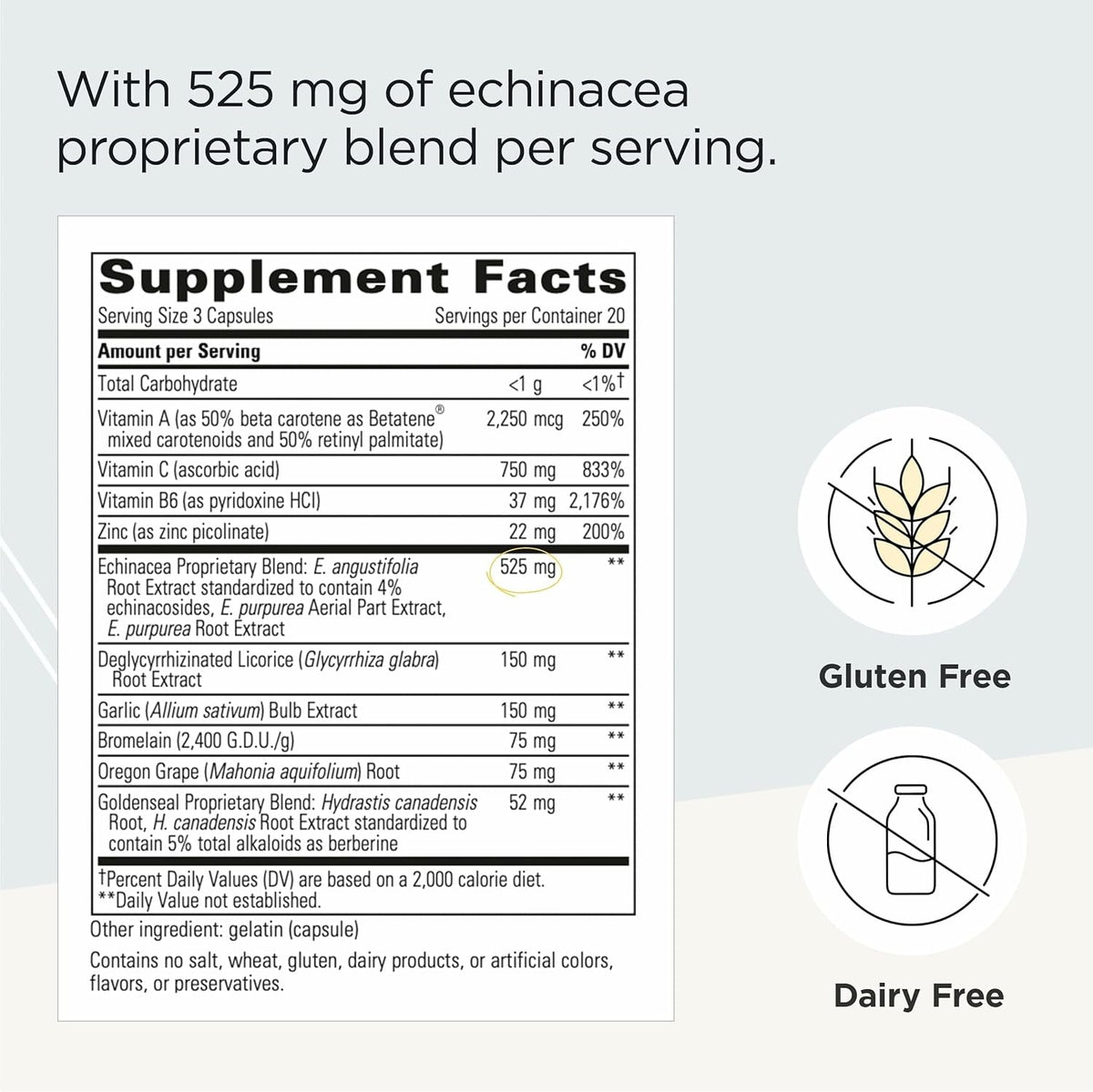 Integrative Therapeutics EHB – Immune Support Supplement with Vitamins A, C, B6, Zinc and Herbal Blend – Dairy-Free & Gluten-Free (60 Capsules) - görsel 2