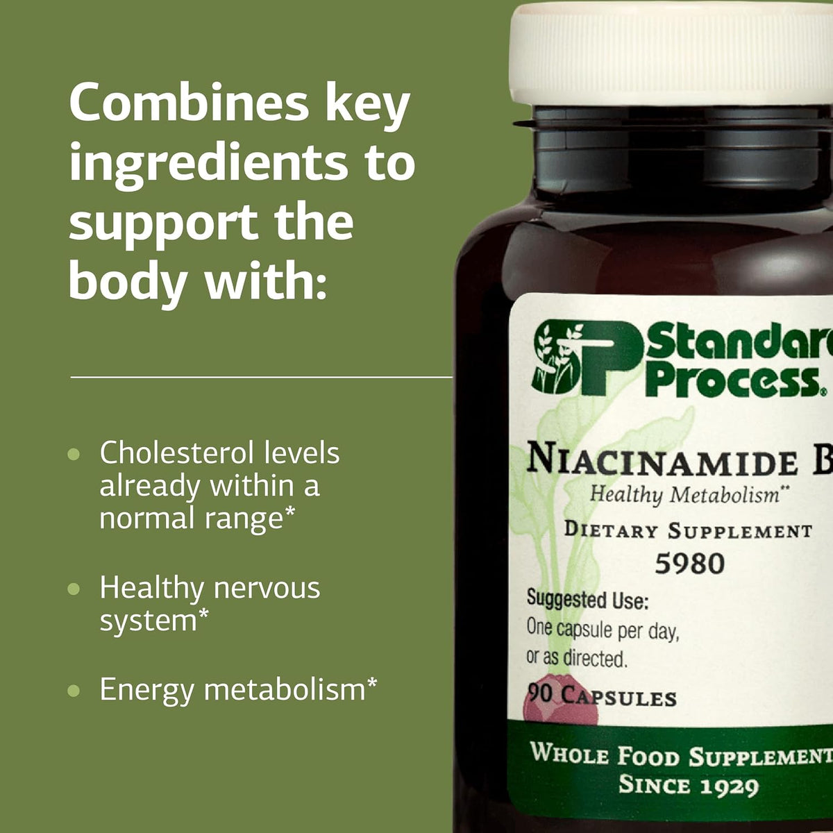 Standard Process Niacinamide B6 – Energy & – Digestive health: B vitamins aid in the breakdown of carbohydrates, – Image 4