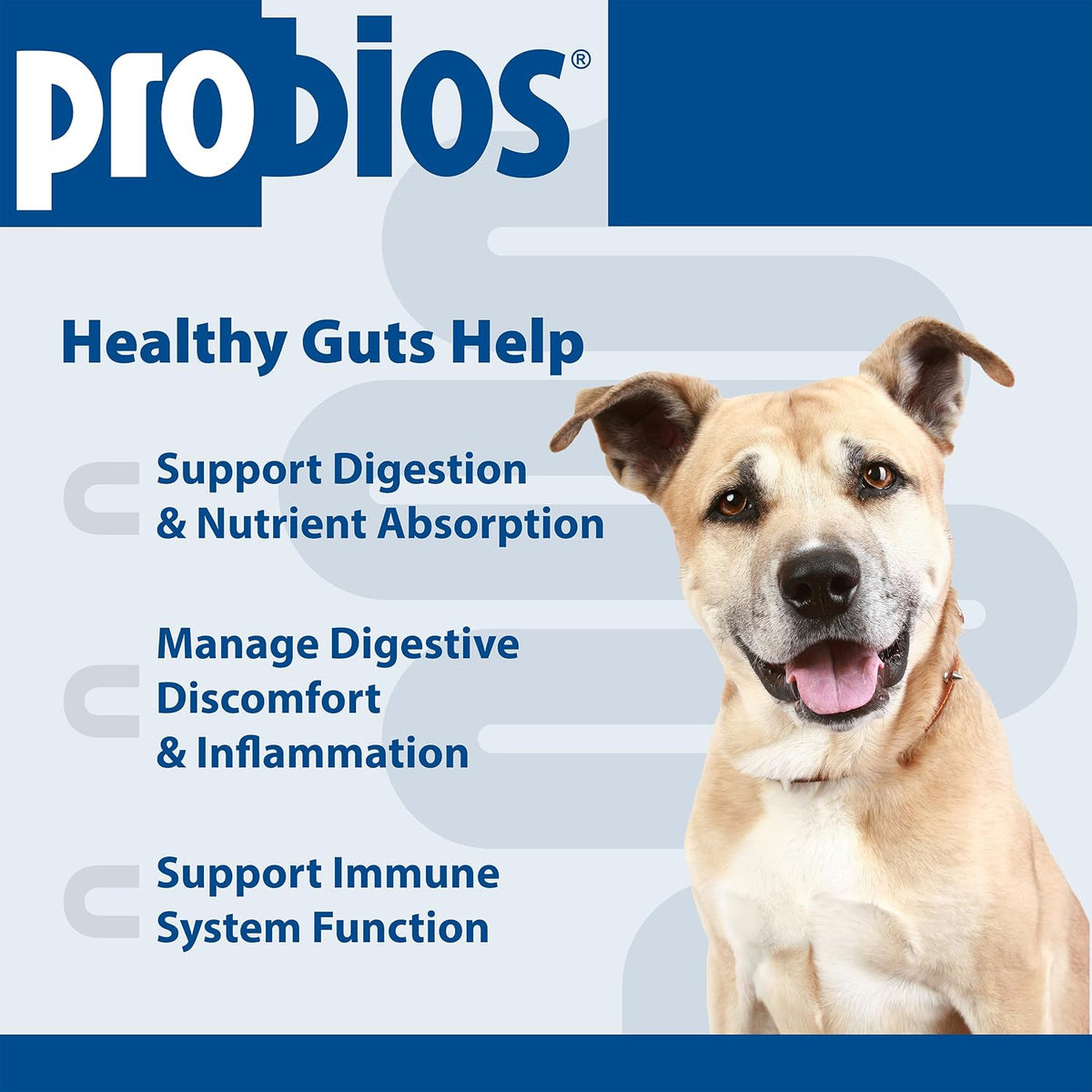 Probios Intelliflora Daily Probiotic Powder for Dogs – 200 Million CFU, Prebiotics, Chicken Liver, 30 Sachets - görsel 3