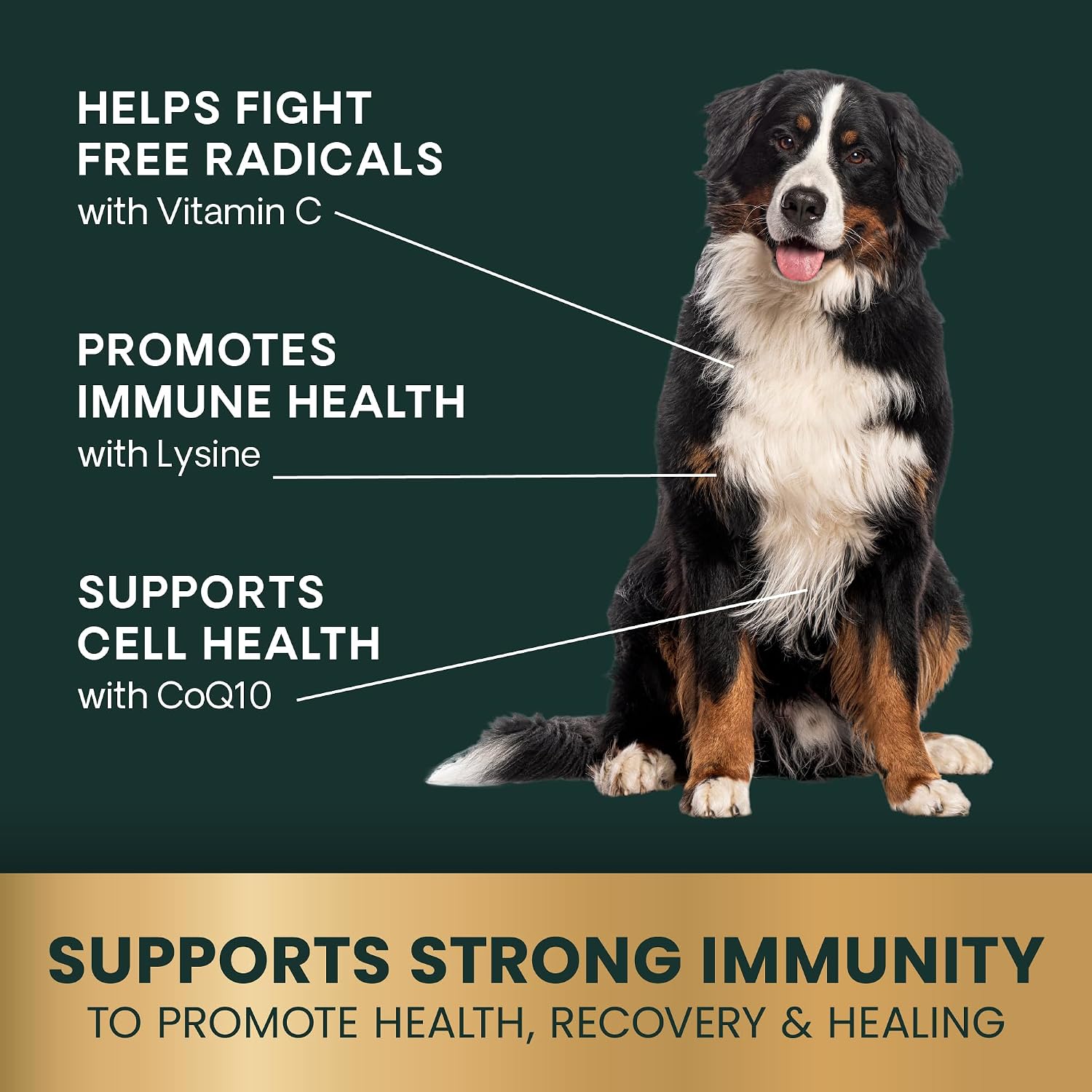 VetriScience Immunity Health Easy-Open Capsules – Immune Plus Supplement for Medium and Large Dogs - görsel 4