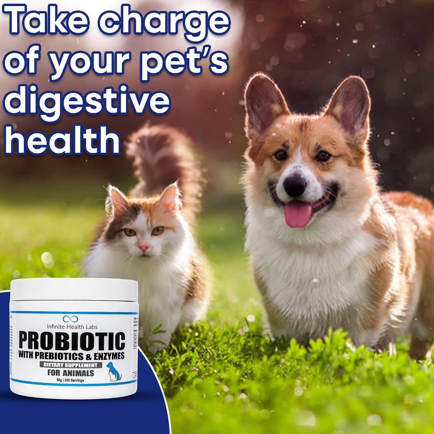 Probiotics for Dogs and Cats – Vet Formulated Prebiotic & Enzyme Powder – 200 Servings (50 g) - görsel 4