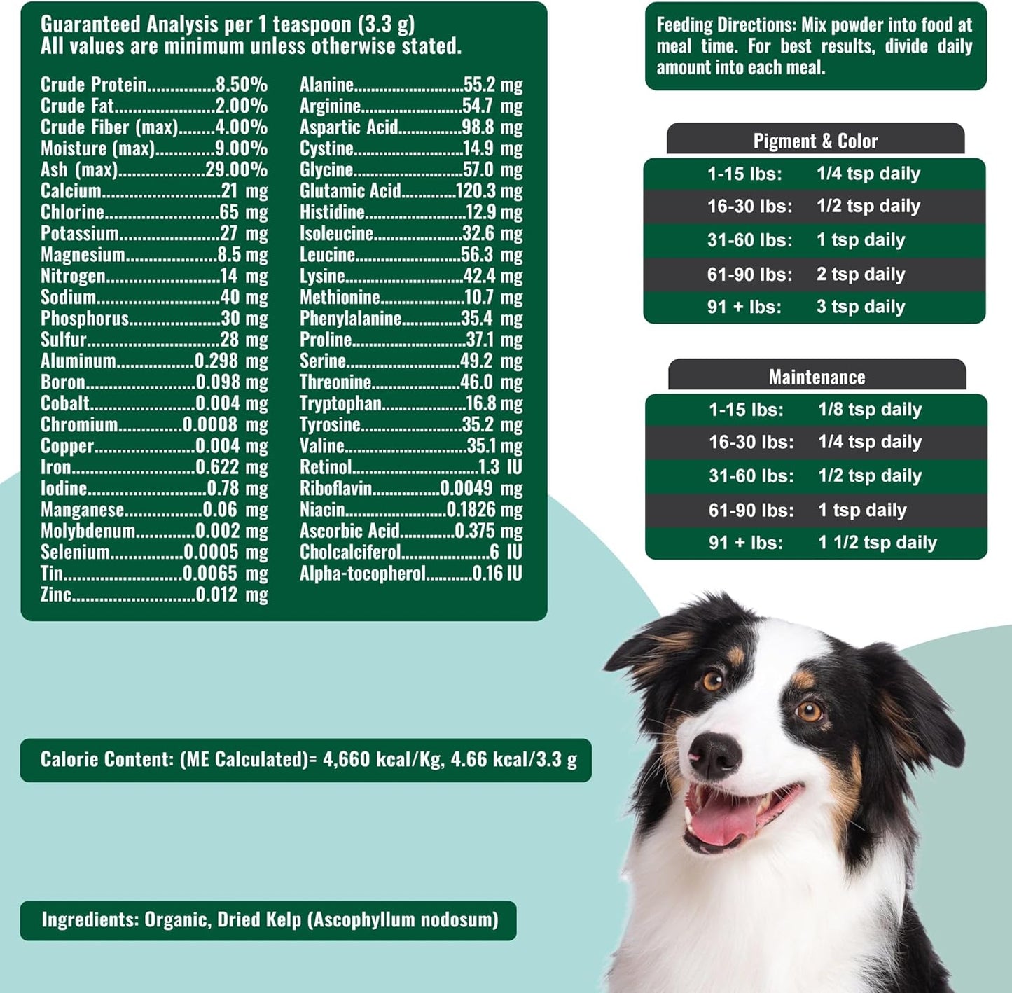 Dogzymes Organic Norwegian Kelp for Pets – 340g - görsel 3