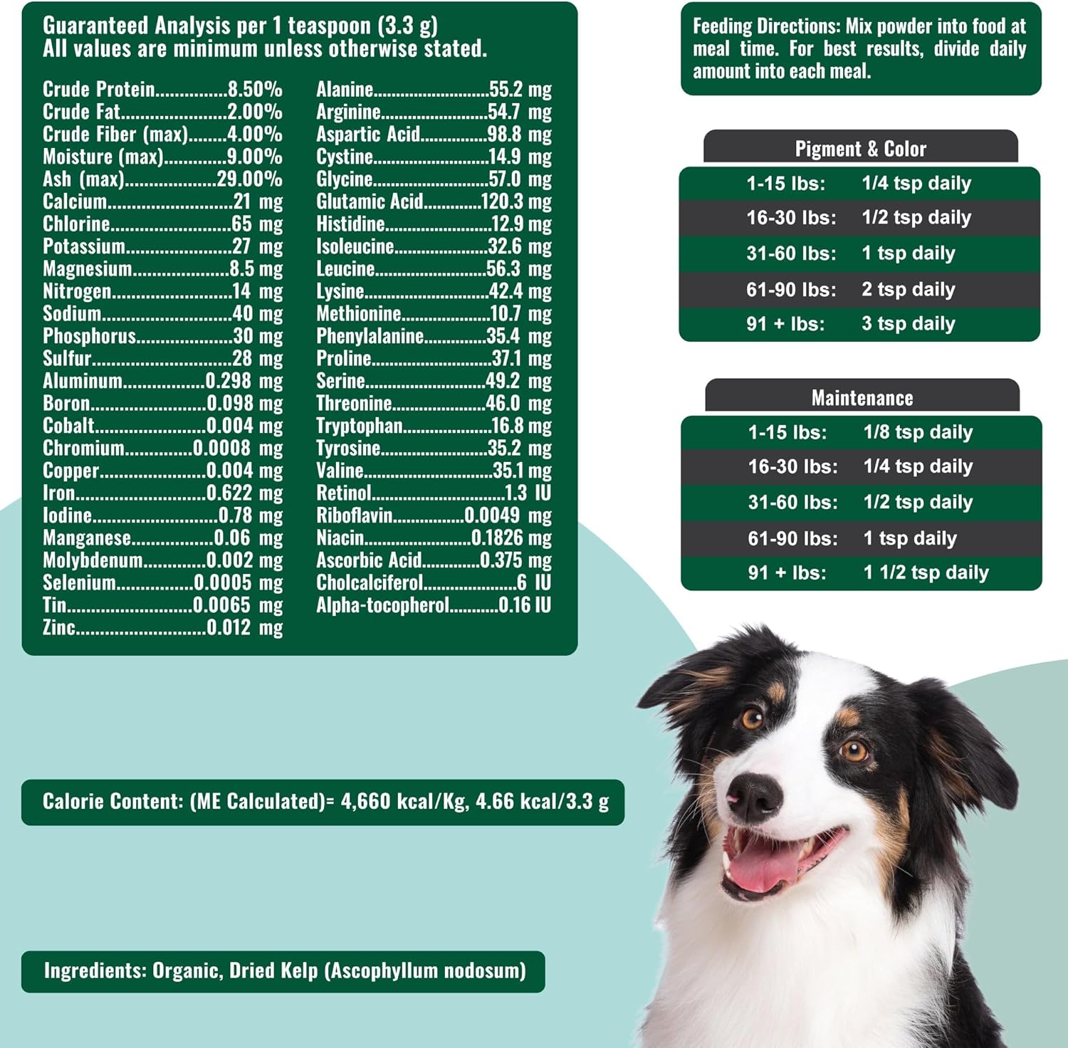Dogzymes Organic Norwegian Kelp for Pets – 340g - görsel 3